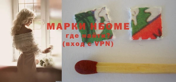 гидра Вязьма