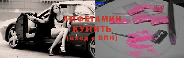 гидра Вязьма