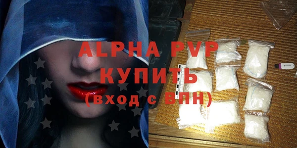 гидра Вязьма
