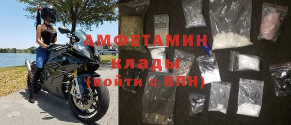 гидра Вязьма