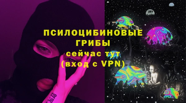 крисы Володарск