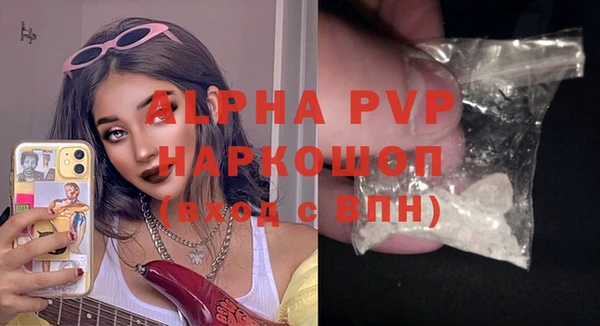 гидра Вязьма