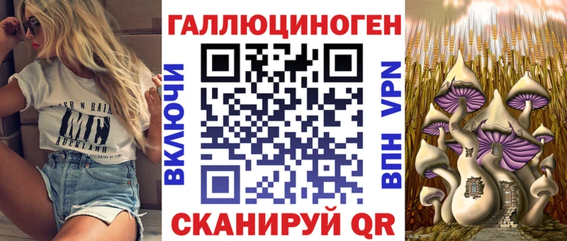 где купить наркоту  Ишим  OMG рабочий сайт  Псилоцибиновые грибы Cubensis 